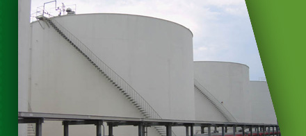 Renewable Biofuels
