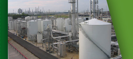Renewable Biofuels