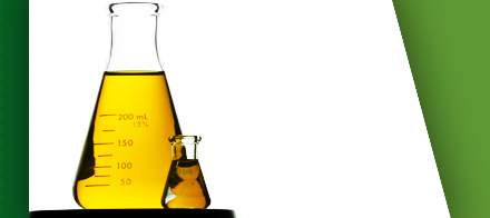 Renewable Biofuels