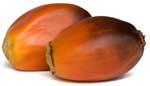 Oil Palm Fruit